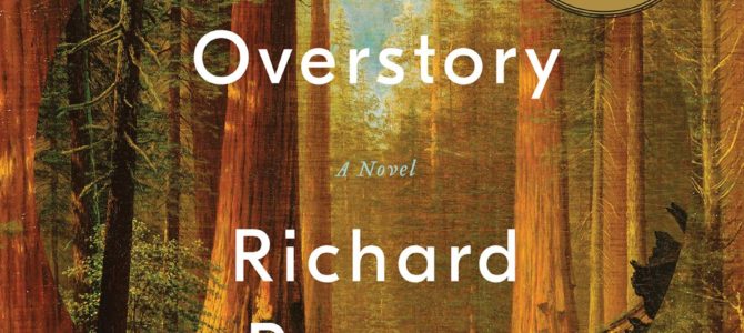 February 2020: The Overstory