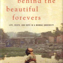 June 2013: Behind the Beautiful Forevers